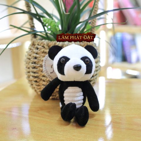 Lực Sĩ Gấu Trúc: Kỷ Lục Tuổi Thọ Thế Giới và Hành Trình Chăm Sóc Đặc Biệt